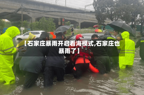 【石家庄暴雨开启看海模式,石家庄也暴雨了】-第1张图片