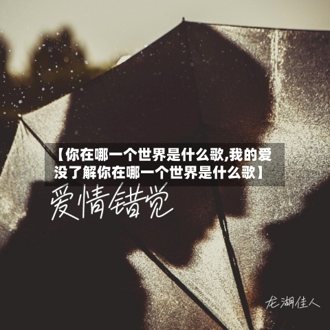 【你在哪一个世界是什么歌,我的爱没了解你在哪一个世界是什么歌】-第2张图片
