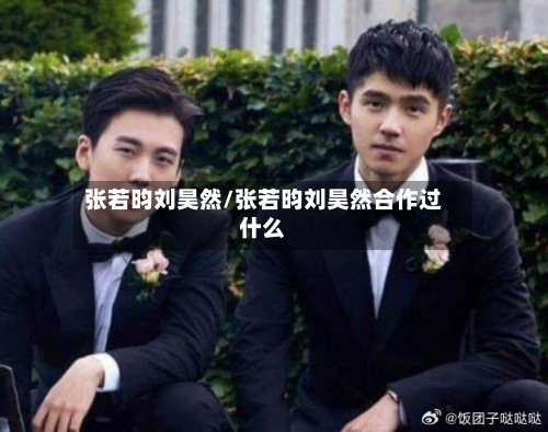 张若昀刘昊然/张若昀刘昊然合作过什么-第1张图片
