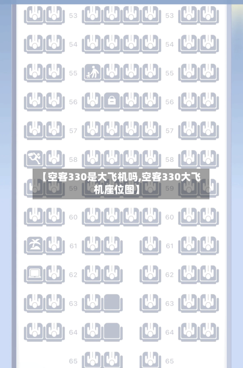 【空客330是大飞机吗,空客330大飞机座位图】-第2张图片