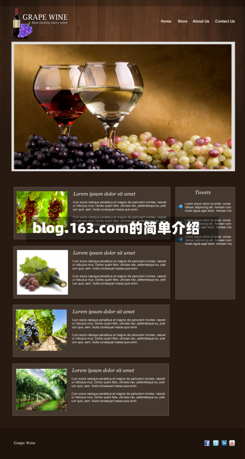 blog.163.com的简单介绍-第2张图片