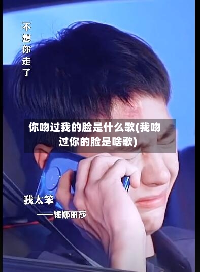 你吻过我的脸是什么歌(我吻过你的脸是啥歌)-第1张图片