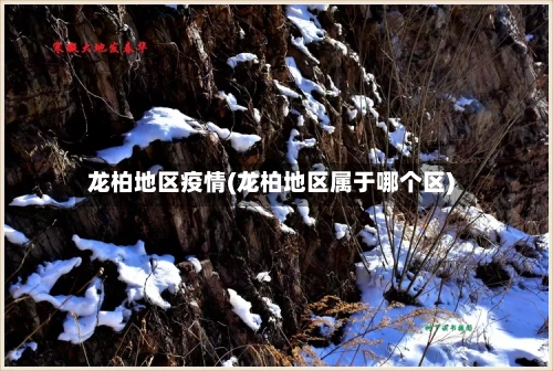 龙柏地区疫情(龙柏地区属于哪个区)-第3张图片