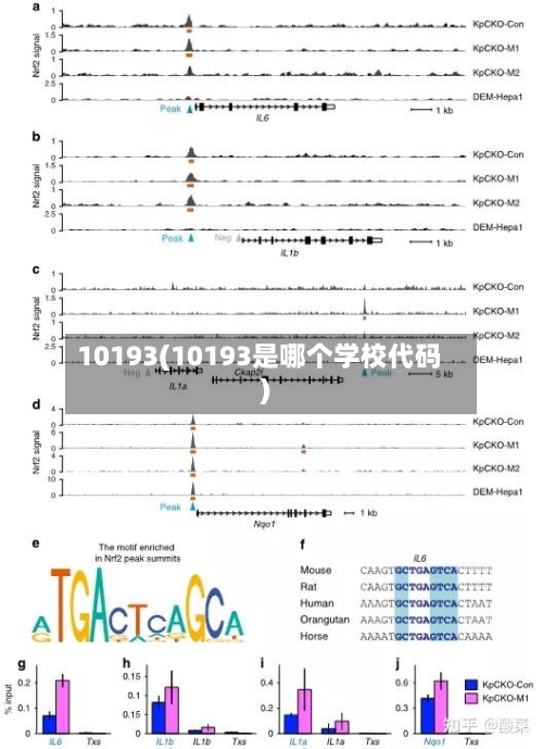 10193(10193是哪个学校代码)-第1张图片