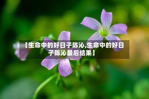 【生命中的好日子陈沁,生命中的好日子陈沁最后结果】-第1张图片