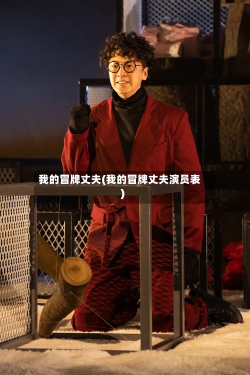我的冒牌丈夫(我的冒牌丈夫演员表)-第1张图片