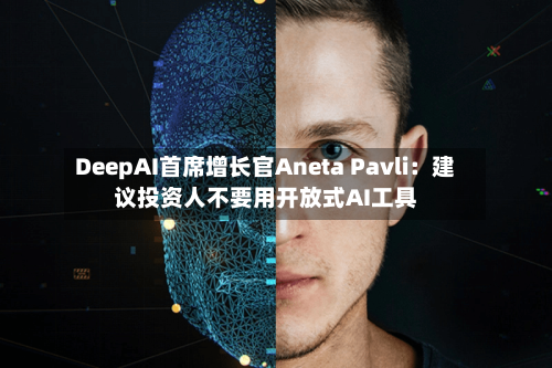 DeepAI首席增长官Aneta Pavli：建议投资人不要用开放式AI工具-第2张图片