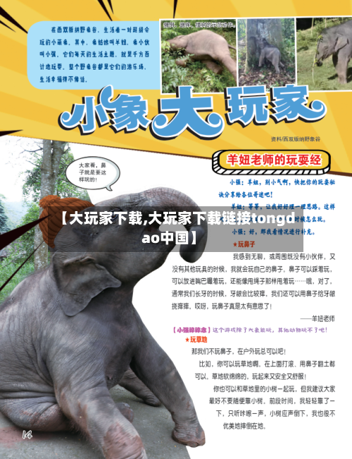 【大玩家下载,大玩家下载链接tongdao中国】-第3张图片