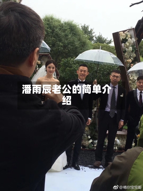 潘雨辰老公的简单介绍-第3张图片