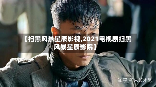 【扫黑风暴星辰影视,2021电视剧扫黑风暴星辰影院】-第3张图片
