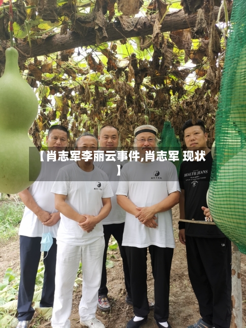【肖志军李丽云事件,肖志军 现状】-第2张图片