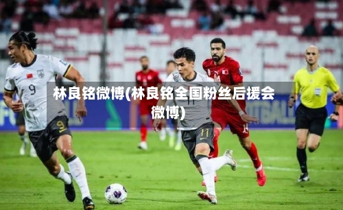 林良铭微博(林良铭全国粉丝后援会微博)-第3张图片