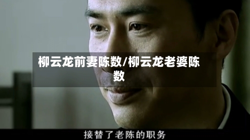 柳云龙前妻陈数/柳云龙老婆陈数-第2张图片