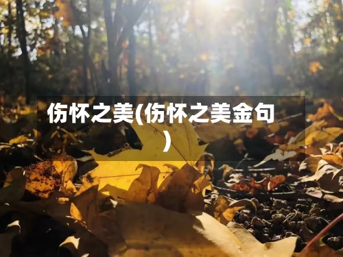 伤怀之美(伤怀之美金句)-第2张图片