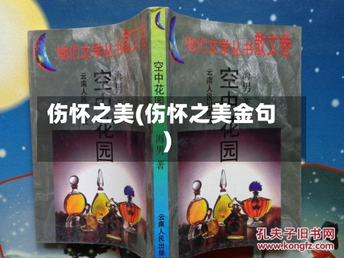 伤怀之美(伤怀之美金句)-第3张图片