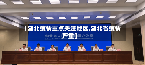【湖北疫情重点关注地区,湖北省疫情严重】-第1张图片