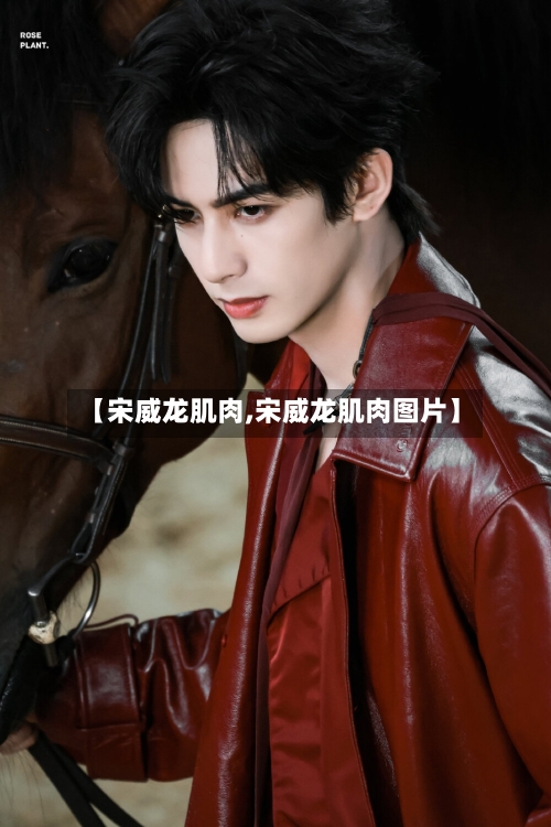 【宋威龙肌肉,宋威龙肌肉图片】-第1张图片