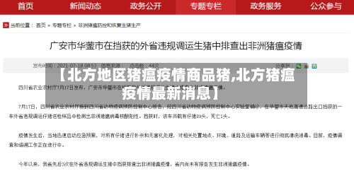 【北方地区猪瘟疫情商品猪,北方猪瘟疫情最新消息】-第3张图片