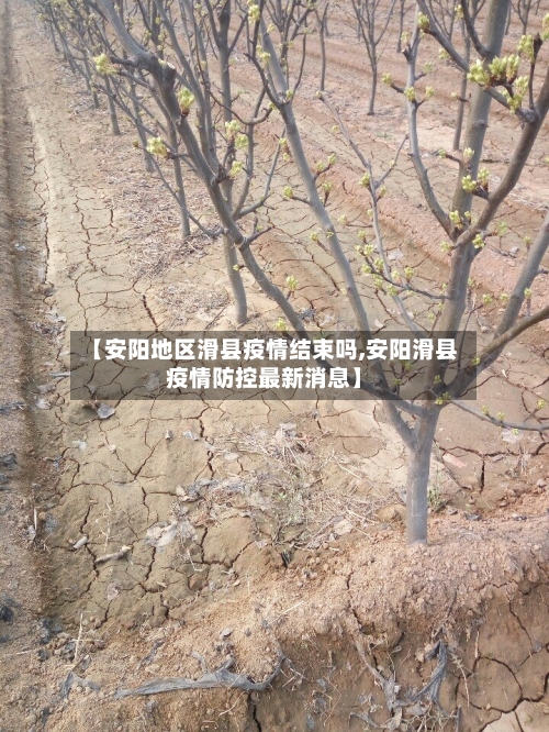 【安阳地区滑县疫情结束吗,安阳滑县疫情防控最新消息】-第2张图片