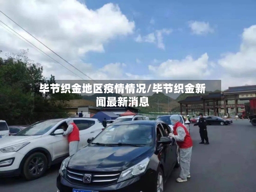 毕节织金地区疫情情况/毕节织金新闻最新消息-第2张图片