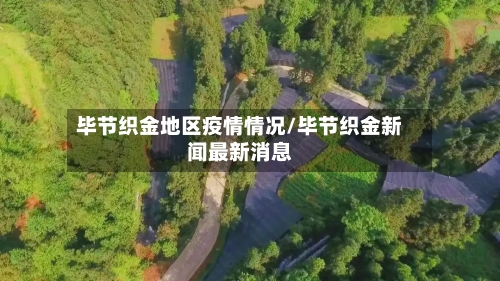 毕节织金地区疫情情况/毕节织金新闻最新消息-第3张图片