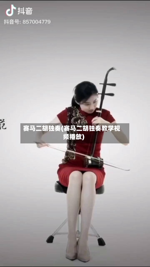 赛马二胡独奏(赛马二胡独奏教学视频播放)-第1张图片