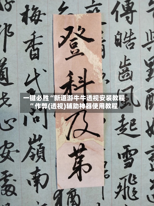 一键必胜“新道游牛牛透视安装教程”作弊(透视)辅助神器使用教程-第2张图片