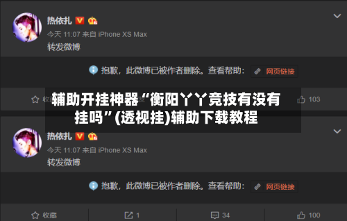 辅助开挂神器“衡阳丫丫竞技有没有挂吗”(透视挂)辅助下载教程-第2张图片