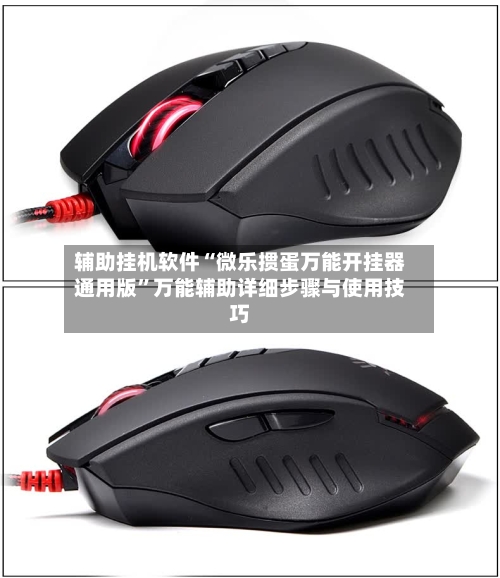 辅助挂机软件“微乐掼蛋万能开挂器通用版”万能辅助详细步骤与使用技巧-第1张图片
