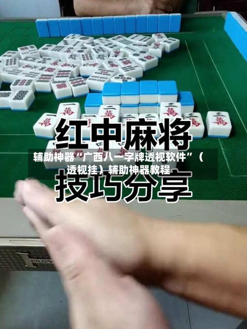 辅助神器“广西八一字牌透视软件”（透视挂）辅助神器教程-第1张图片