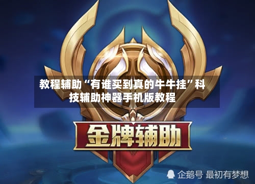 教程辅助“有谁买到真的牛牛挂”科技辅助神器手机版教程-第3张图片