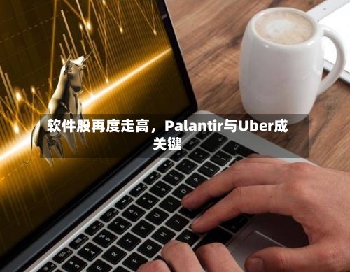 软件股再度走高，Palantir与Uber成关键-第1张图片