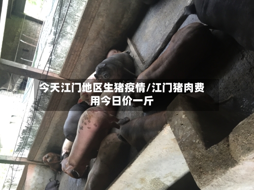 今天江门地区生猪疫情/江门猪肉费用今日价一斤-第1张图片