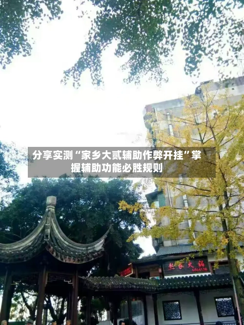 分享实测“家乡大贰辅助作弊开挂”掌握辅助功能必胜规则-第2张图片