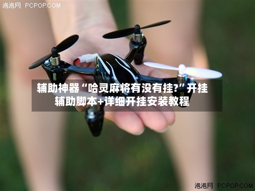 辅助神器“哈灵麻将有没有挂?”开挂辅助脚本+详细开挂安装教程-第1张图片