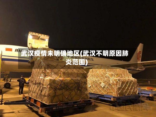 武汉疫情未明确地区(武汉不明原因肺炎范围)-第1张图片