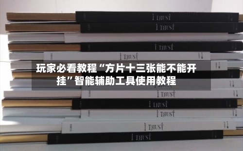 玩家必看教程“方片十三张能不能开挂	”智能辅助工具使用教程-第2张图片