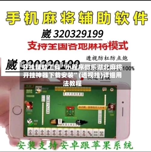 开挂辅助工具“小程序微乐湖北麻将开挂神器下载安装”(透视挂)详细用法教程-第2张图片