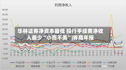 华林证券净资本最低 投行手续费净收入最少“小而不美	”|券商年报-第1张图片