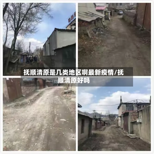 抚顺清原是几类地区啊最新疫情/抚顺清原好吗-第3张图片