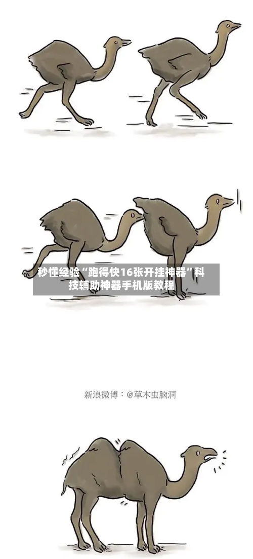 秒懂经验“跑得快16张开挂神器”科技辅助神器手机版教程-第1张图片
