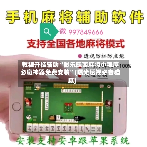 教程开挂辅助“微乐陕西麻将小程序必赢神器免费安装”(曝光透视必备猫腻)-第2张图片