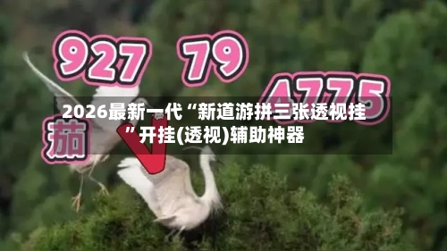 2026最新一代“新道游拼三张透视挂	”开挂(透视)辅助神器-第2张图片