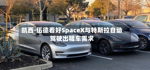 凯西·伍德看好SpaceX与特斯拉自动驾驶出租车需求-第1张图片