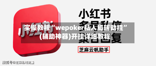 实操教程“wepoker私人局辅助挂”(辅助神器)开挂详细教程-第2张图片