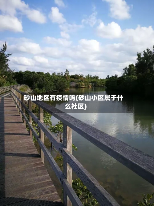 砂山地区有疫情吗(砂山小区属于什么社区)-第2张图片
