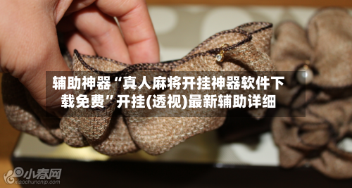 辅助神器“真人麻将开挂神器软件下载免费”开挂(透视)最新辅助详细-第1张图片
