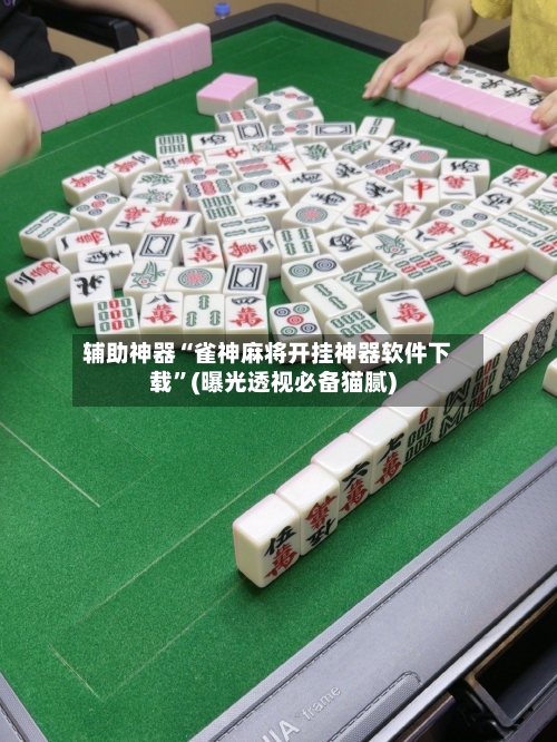 辅助神器“雀神麻将开挂神器软件下载”(曝光透视必备猫腻)-第1张图片
