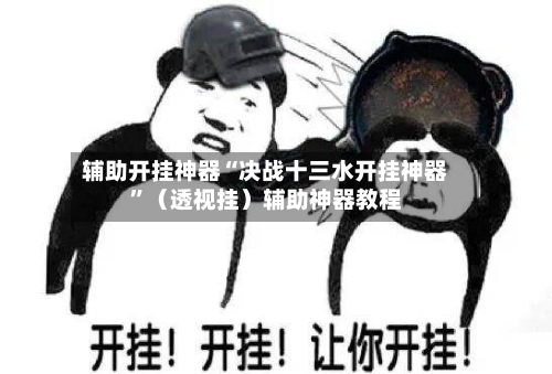 辅助开挂神器“决战十三水开挂神器”（透视挂）辅助神器教程-第1张图片