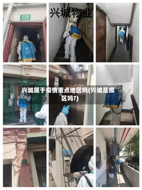 兴城属于疫情重点地区吗(兴城是疫区吗?)-第2张图片